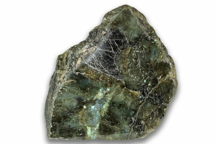 Single Side Polished Labradorite Section - Madagascar #324672